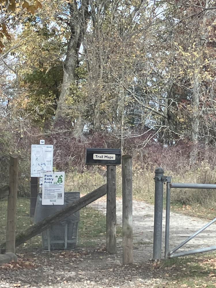 walking near me in Rose Oaks County Park in autumn