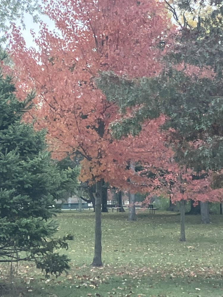 walking near me in Waterworks Park in autumn