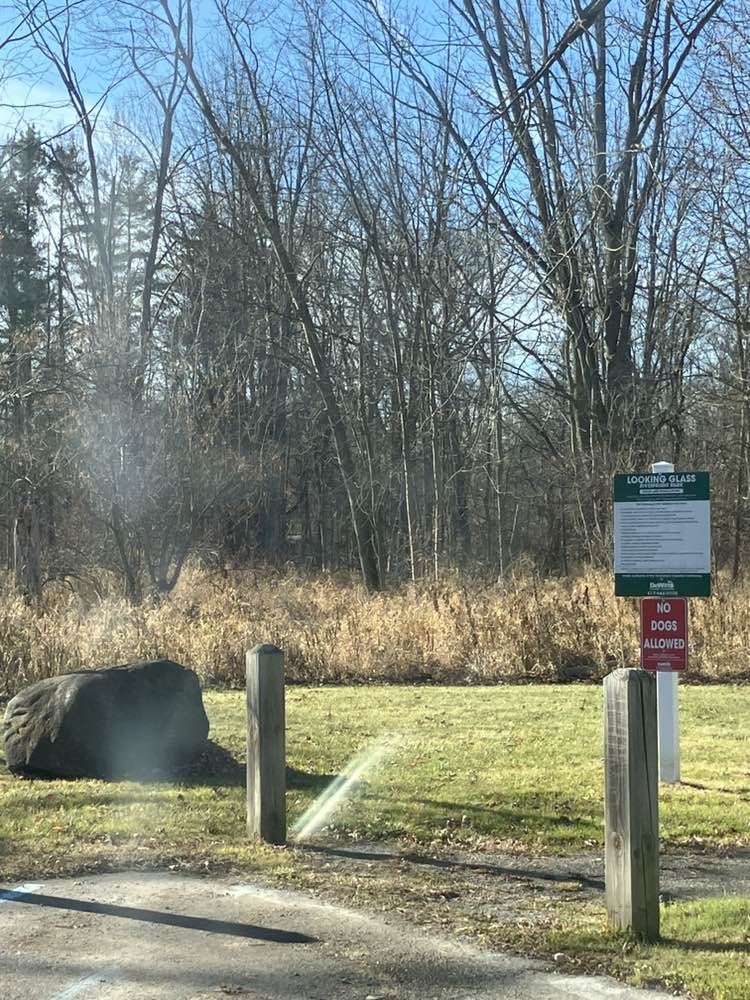 walking near me in Looking Glass River Park in autumn