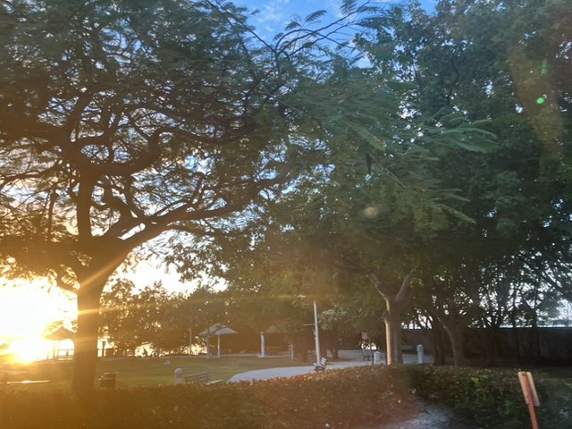 walking near me in Peace Park in winter