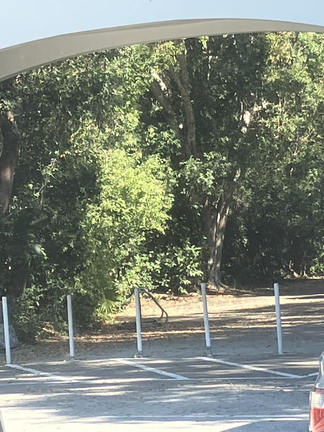 walking near me in Dagny Johnson Key Largo Hammock Botanical State Park in winter