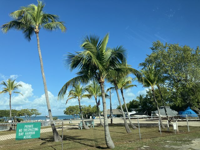 walking near me in Bay Harbor Association Marina in winter