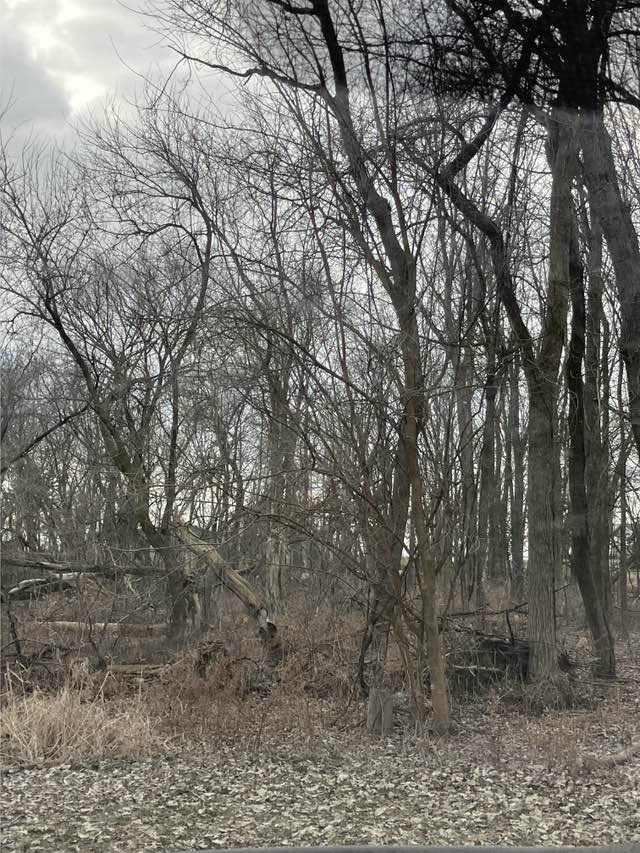 walking near me in Muskrat Lake State Game Area in spring