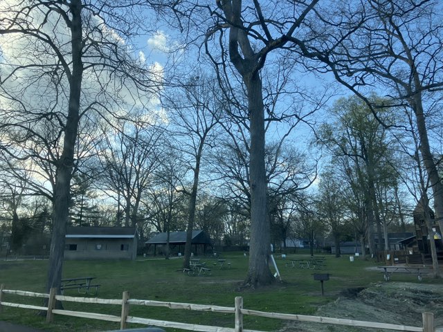 walking near me in Russell Park in spring