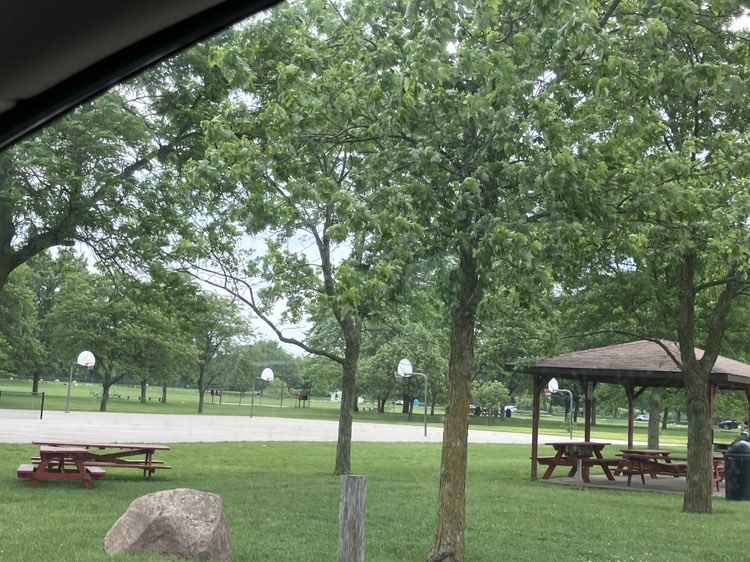 walking near me in Elms Road Park in summer