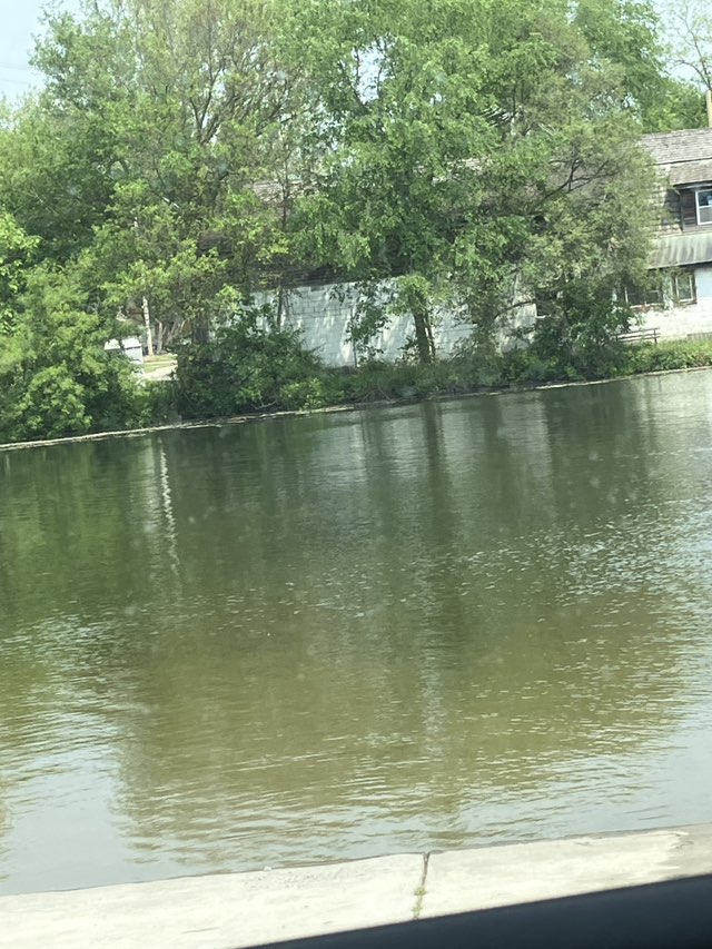 walking near me in Linden Mill Pond Gazebo in summer
