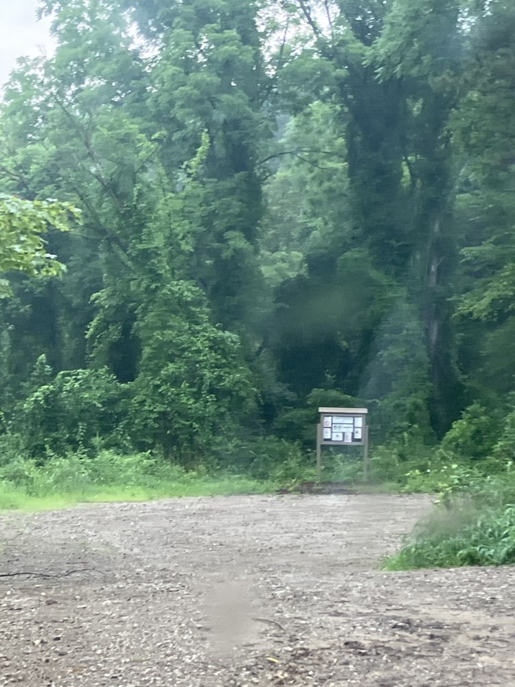 walking near me in Rose Ponds in autumn