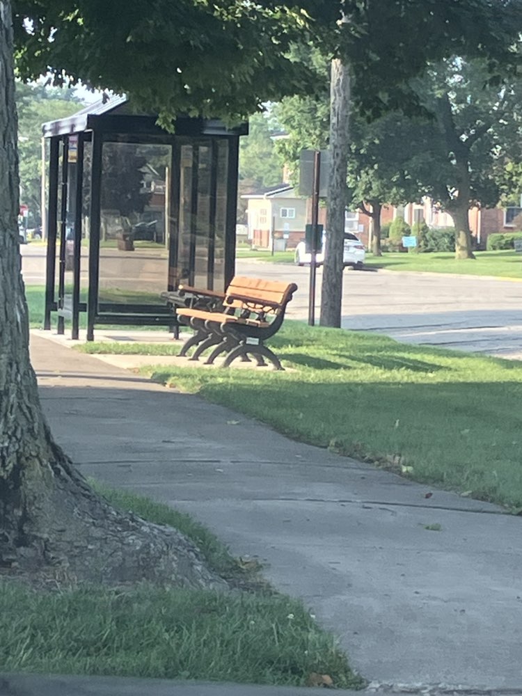 walking near me in courthouse park in autumn