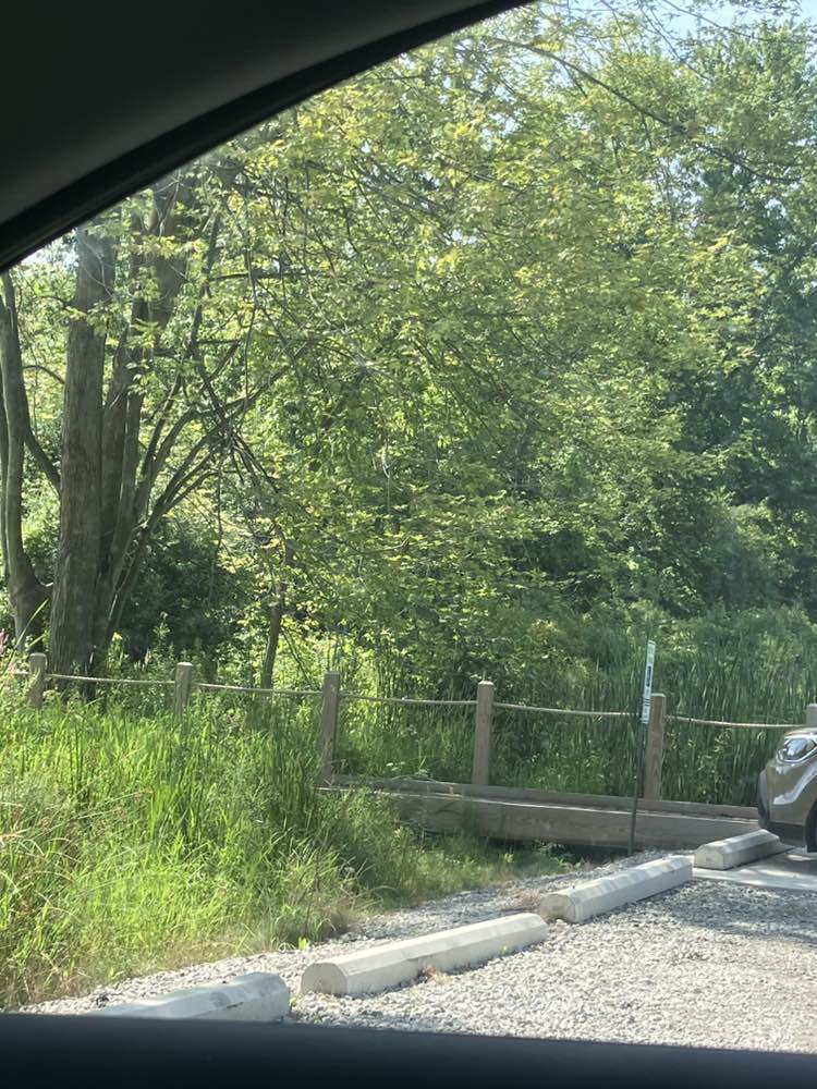 walking near me in Shiawassee Pathways Recreation Area in autumn
