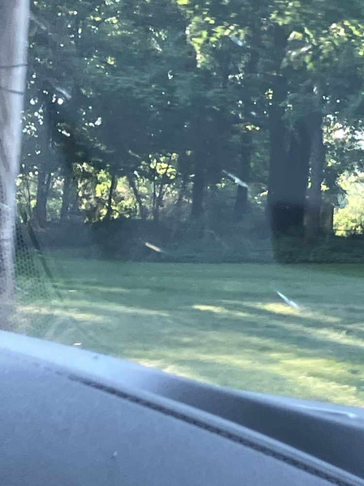 walking near me in Delta Mills Park in summer