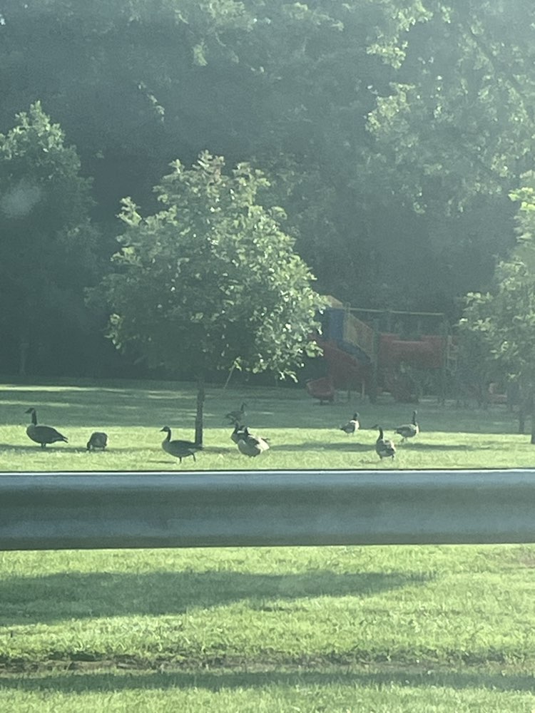walking near me in Looking Glass Valley Park in autumn