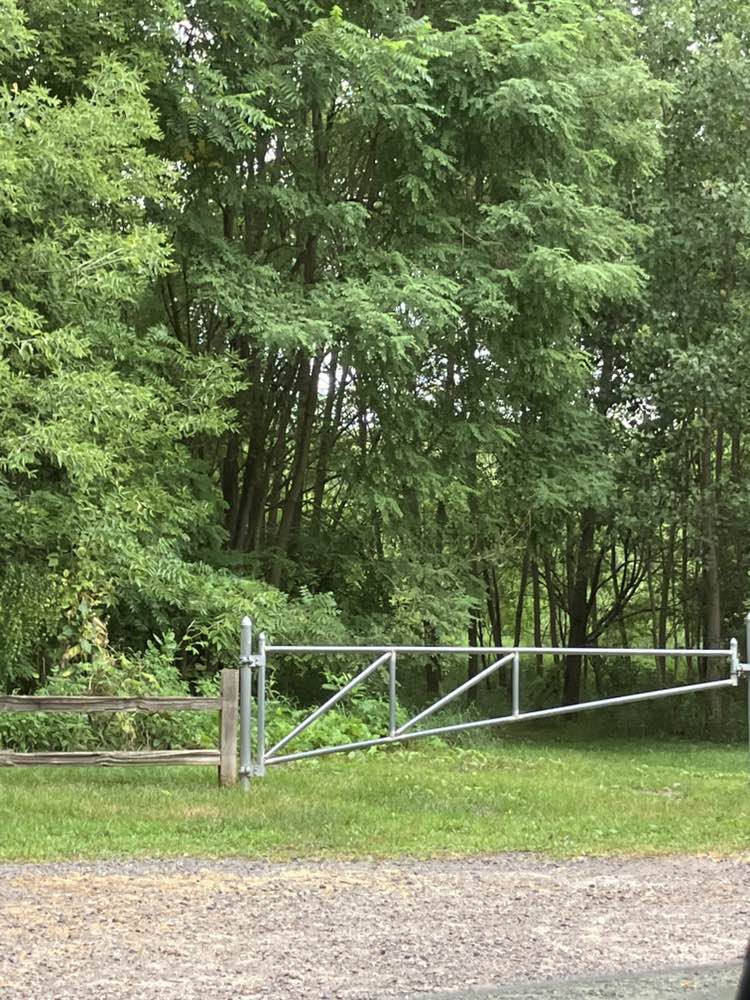 walking near me in Deerfield Hills Nature Area in autumn