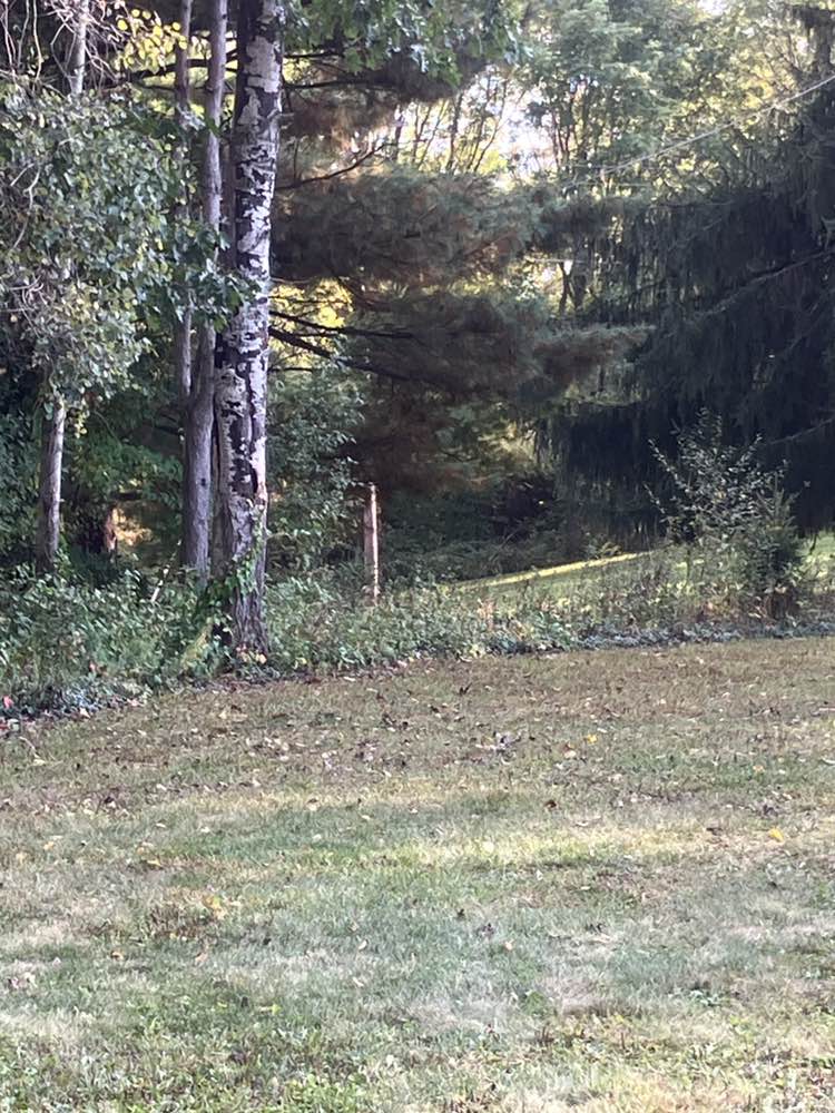 walking near me in Fletcher-Robson Nature Park in autumn