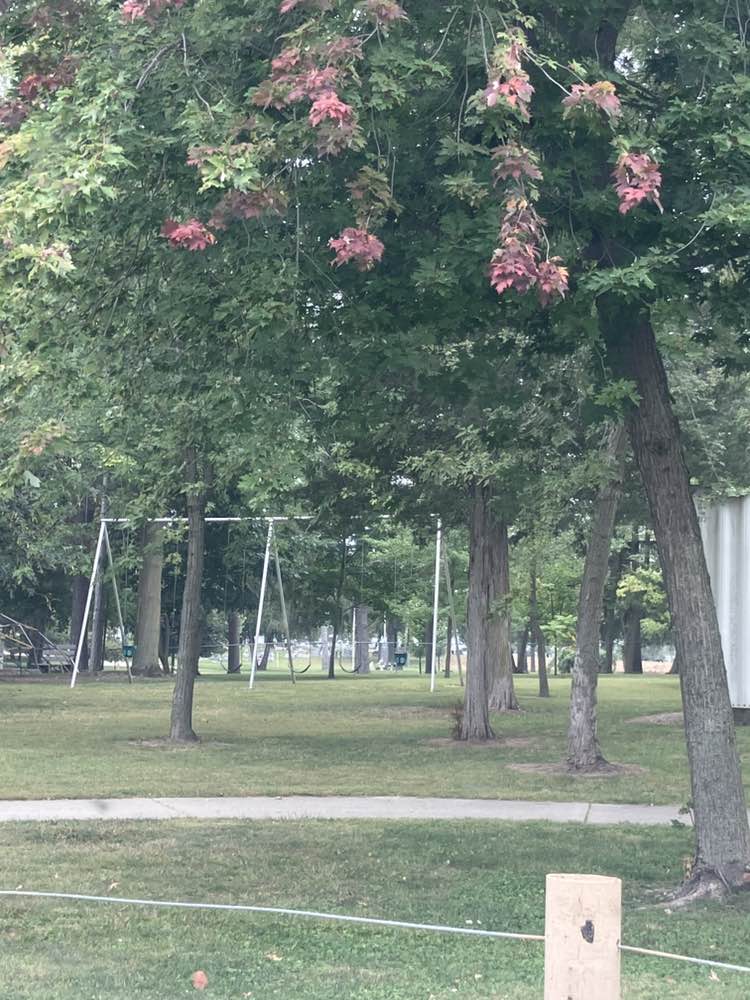 walking near me in Daniel Droste Memorial Park in autumn