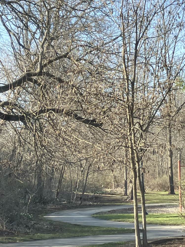 walking near me in All Kids Playground in spring
