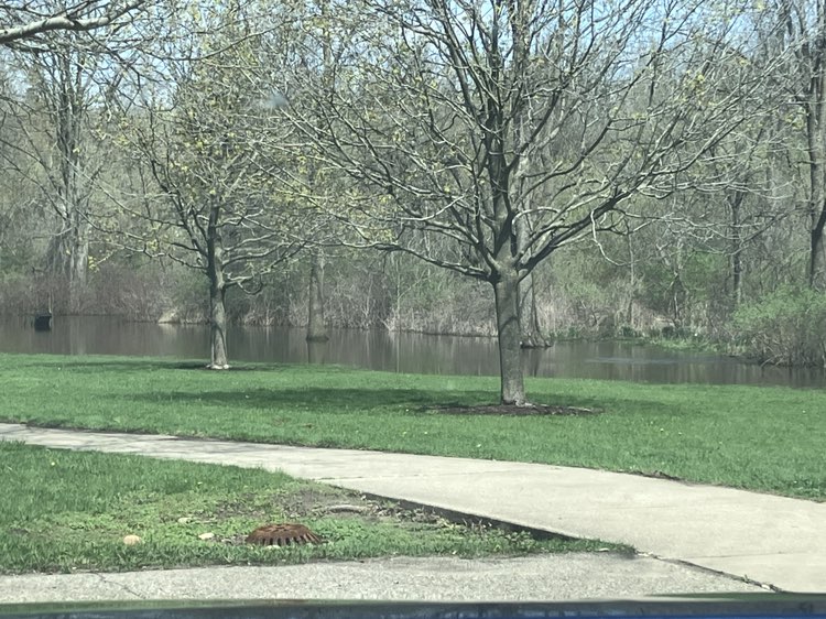walking near me in River Trail Park in spring