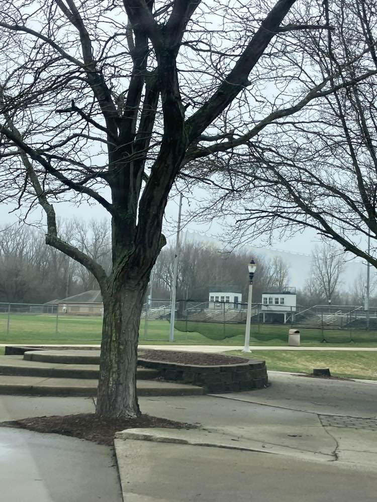 walking near me in East Lansing Soccer Complex in spring