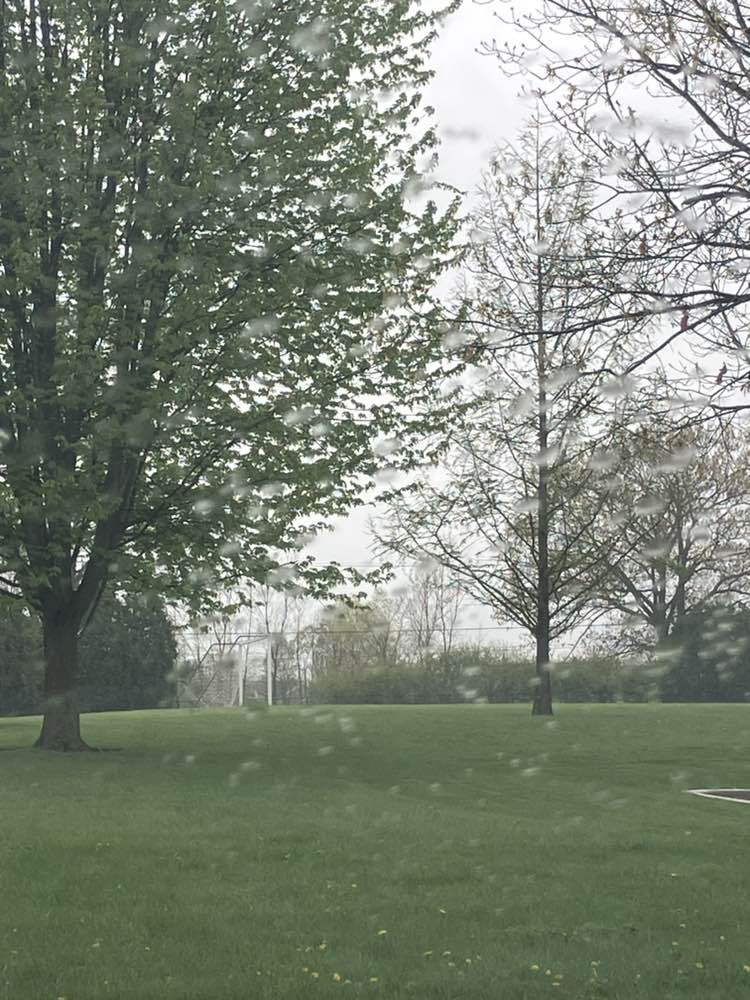 walking near me in DeWitt Sports Park in spring