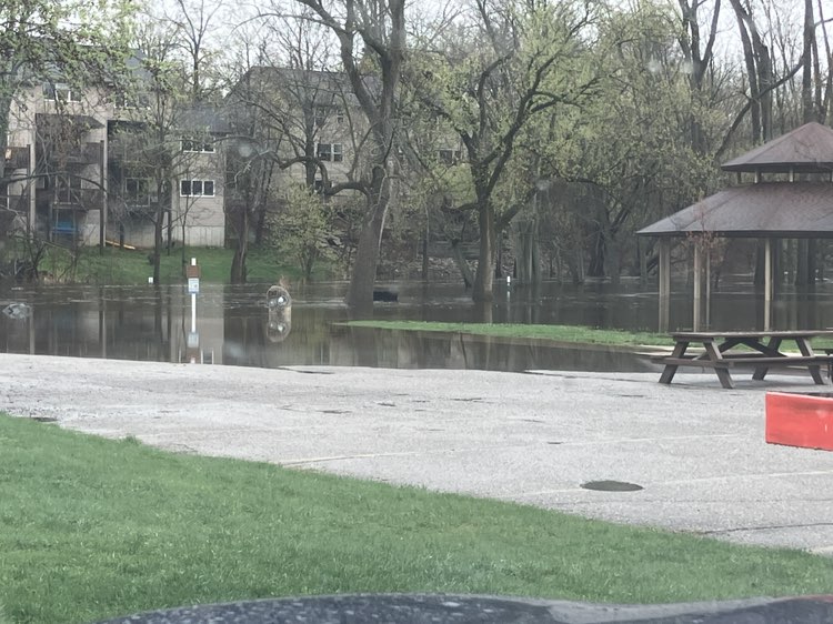 walking near me in Riverside Park in spring