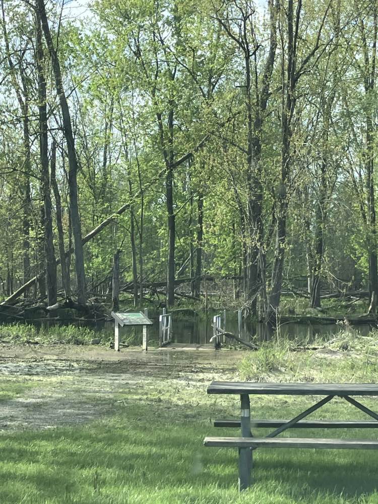 walking near me in Looking Glass River Park in spring