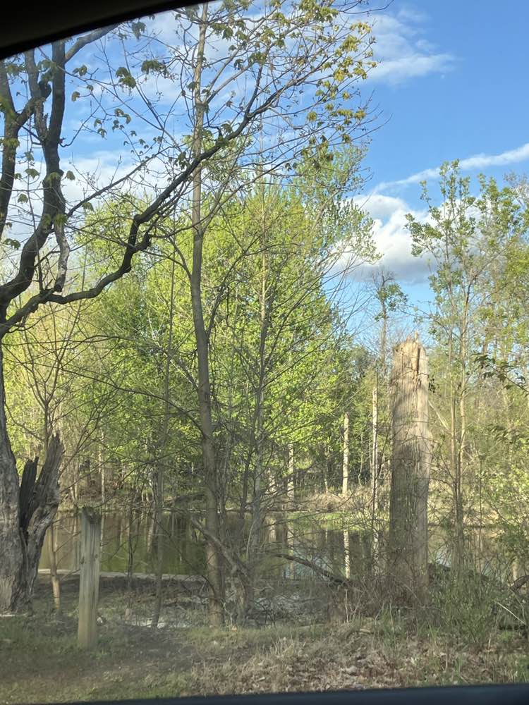 walking near me in Heritage Park in spring