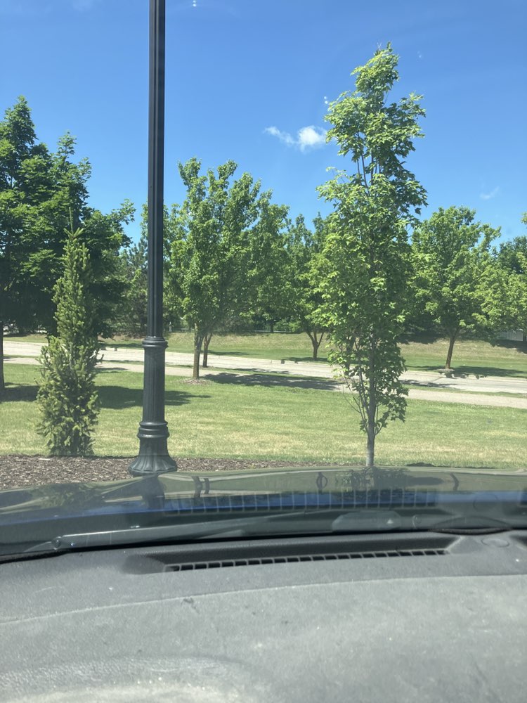 walking near me in Physician's Park in summer