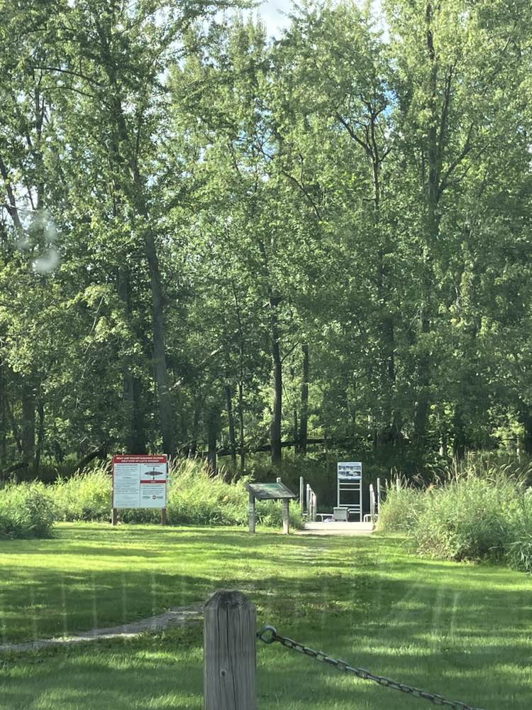 walking near me in Looking Glass River Park in summer