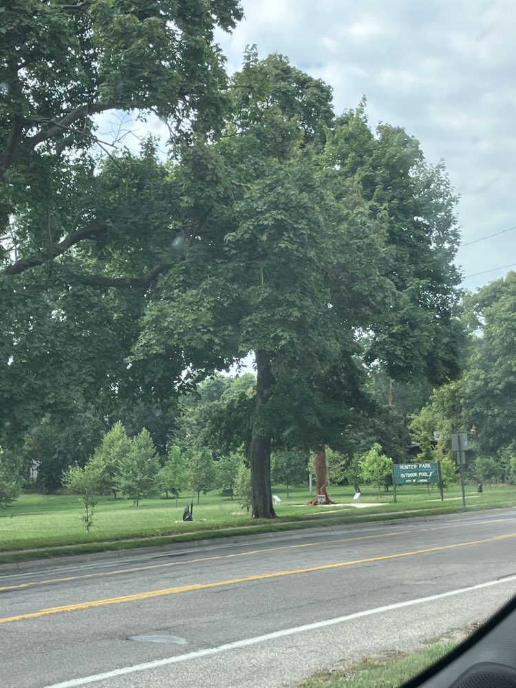 walking near me in Hunter Park in summer