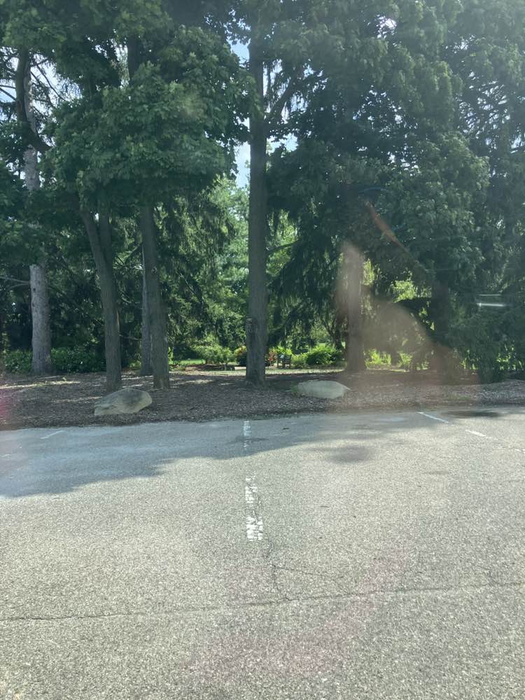 walking near me in Clarence E. Lewis Landscape Arboretum in summer