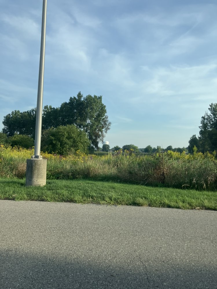 walking near me in Wetlands/Nature Preserve in autumn