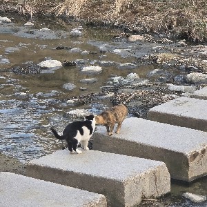 Site3PPTI박성희 profile