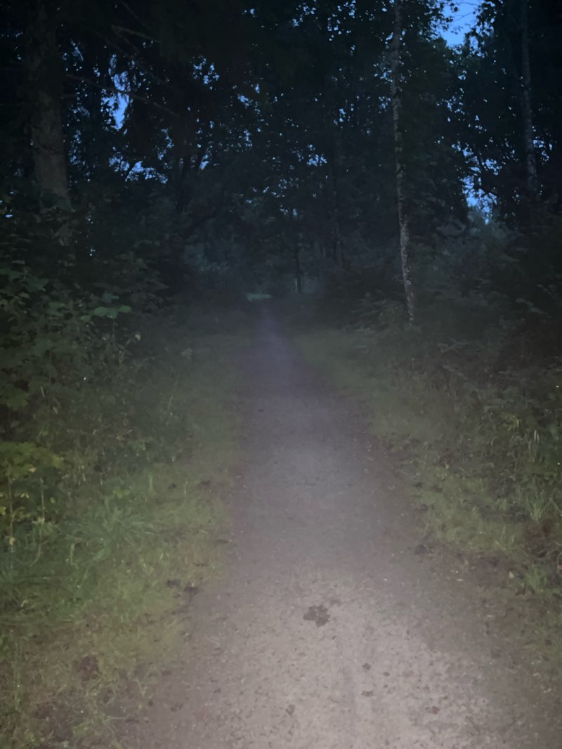 walking near me in Mõisamaa park in autumn