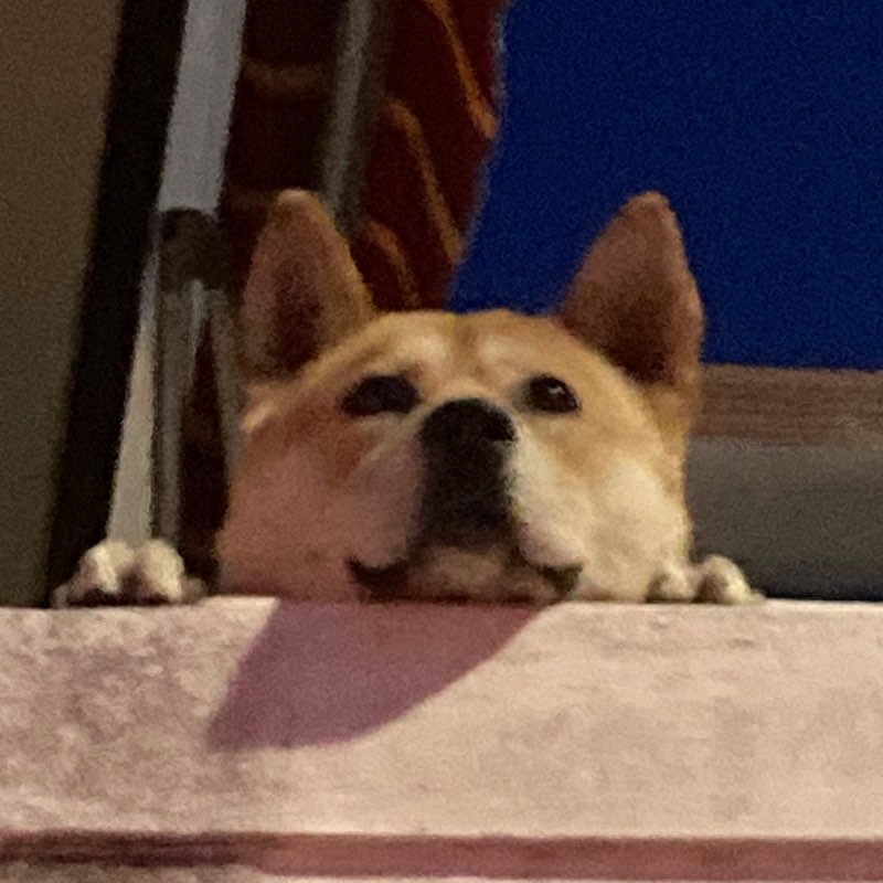 Site4/RTC/지훈 icon