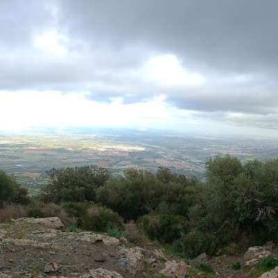 ALGERIA Mohal66 post image