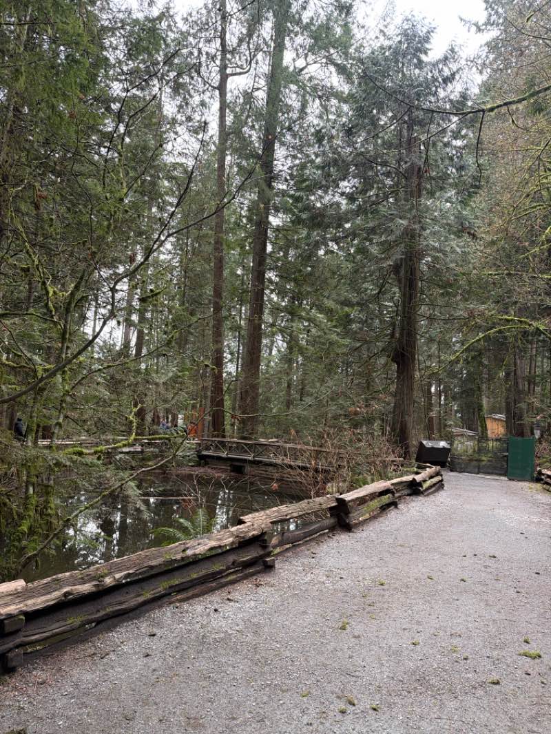 walking near me in Klahanie Park in spring