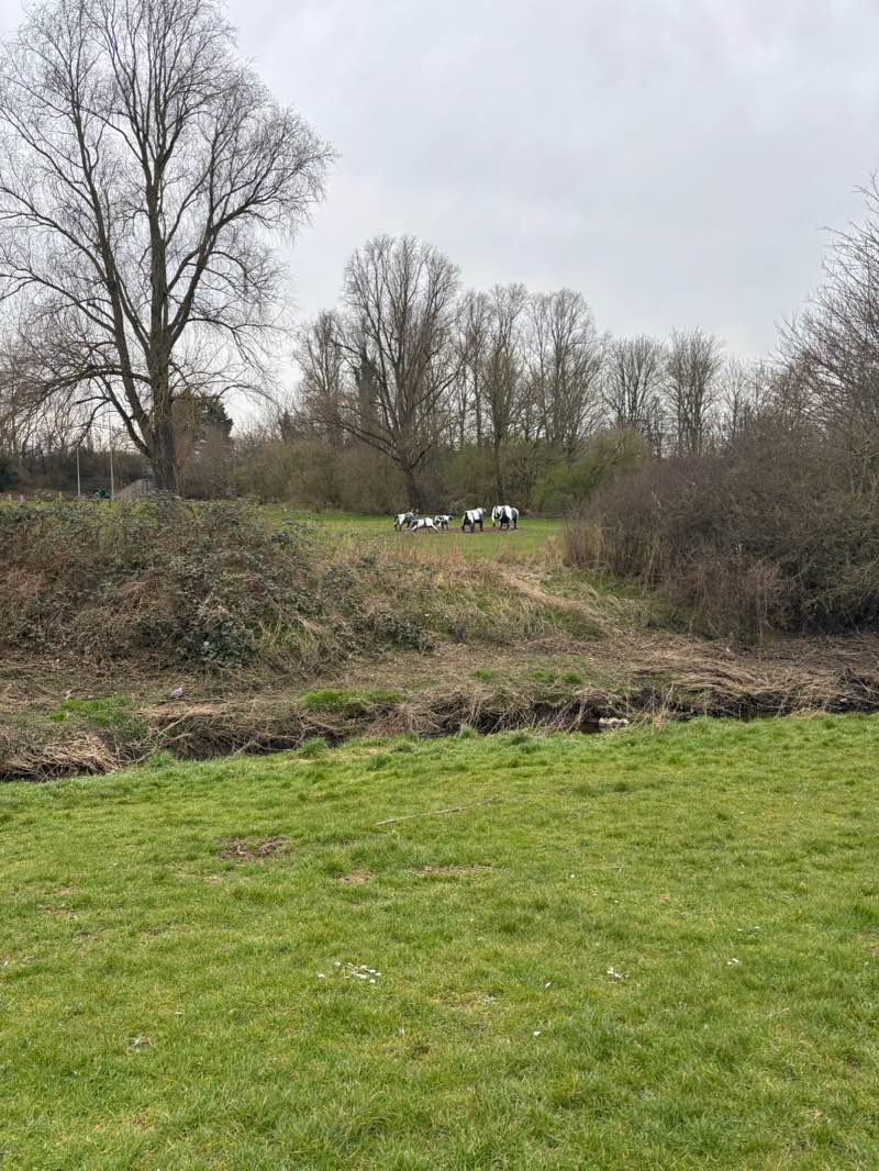 walking near me in Loughton Valley Linear Park in spring