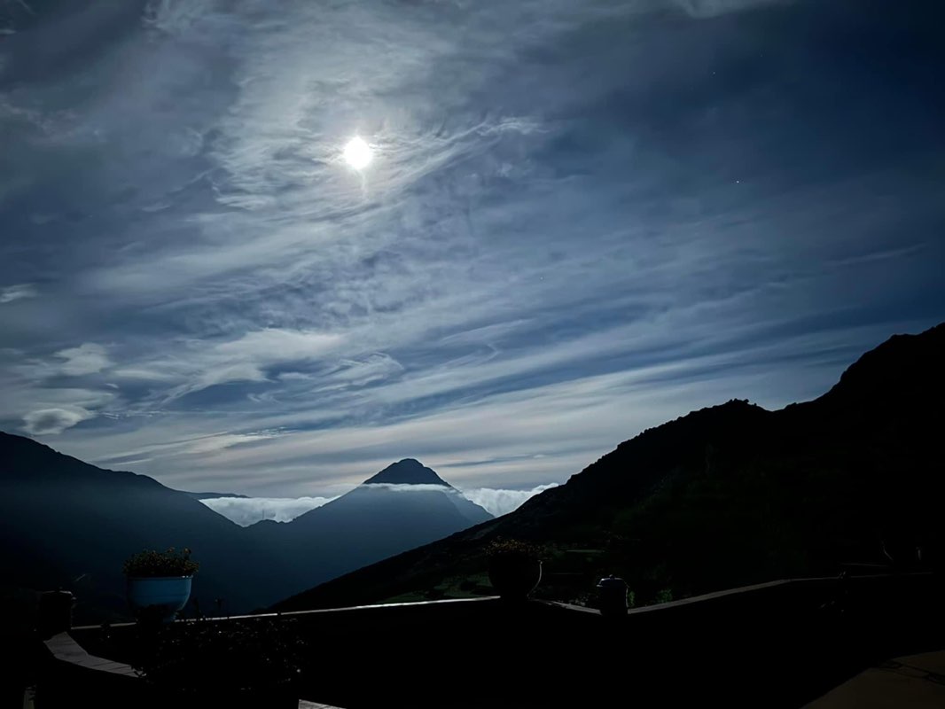 nancydegrandpre profile