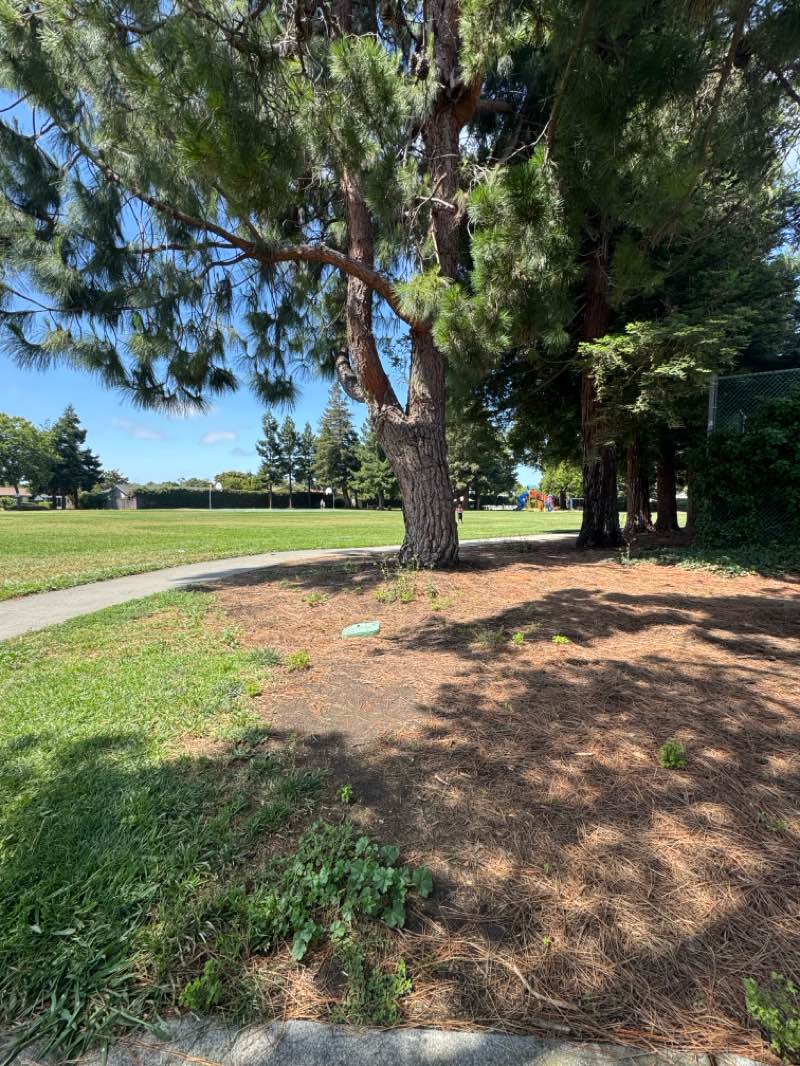 walking near me in Town Estates Park in spring