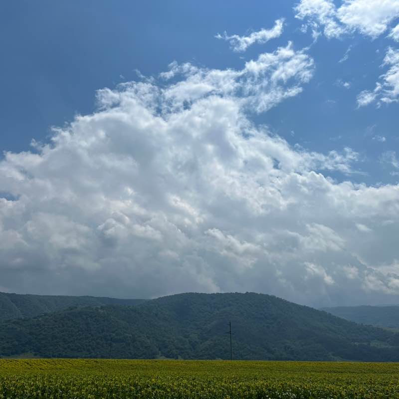 Светлана post 3