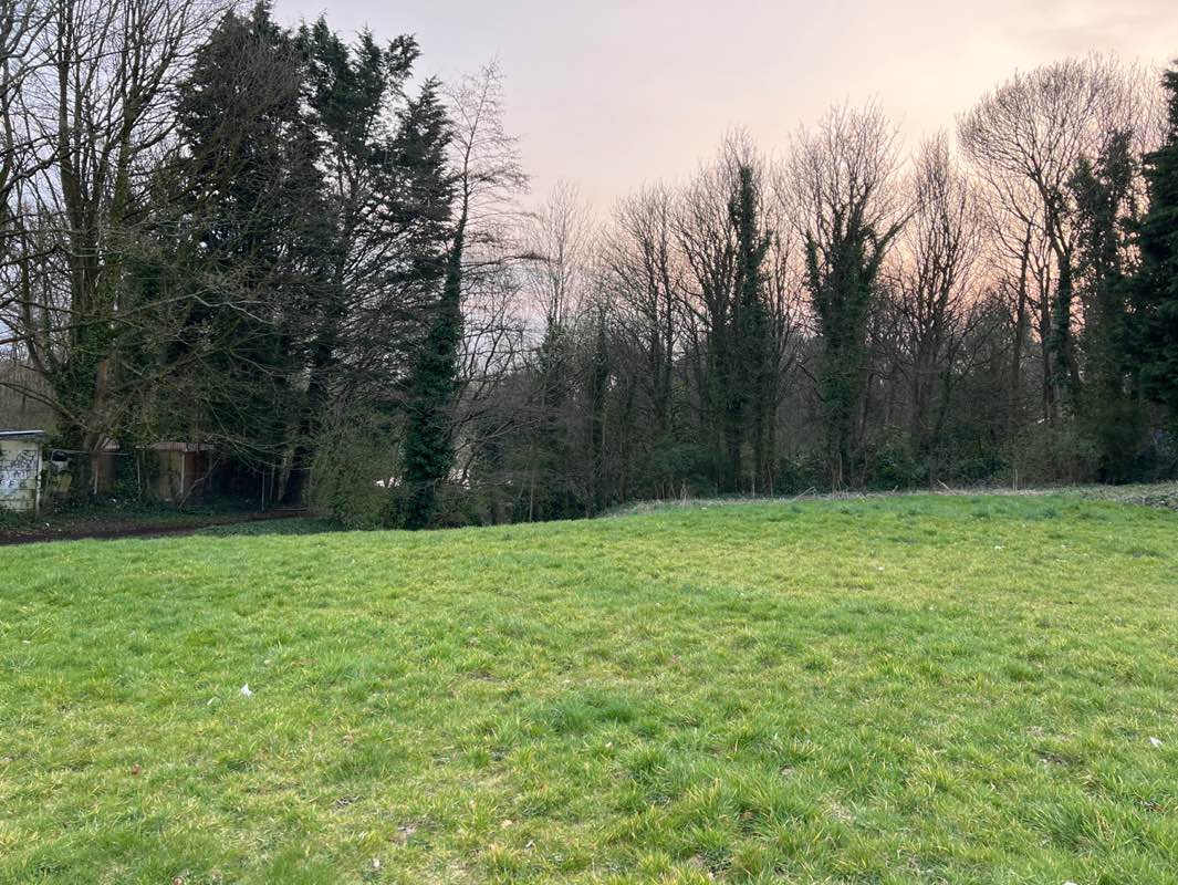 walking near me in Frenchwood Knoll in spring