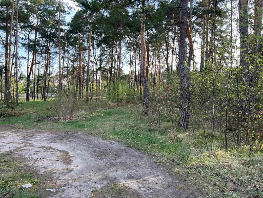 walking near me in park przy kościele in spring