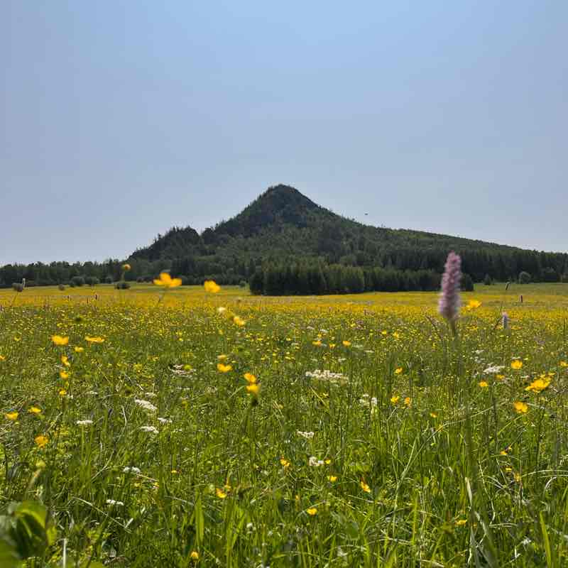 Евгения post 3