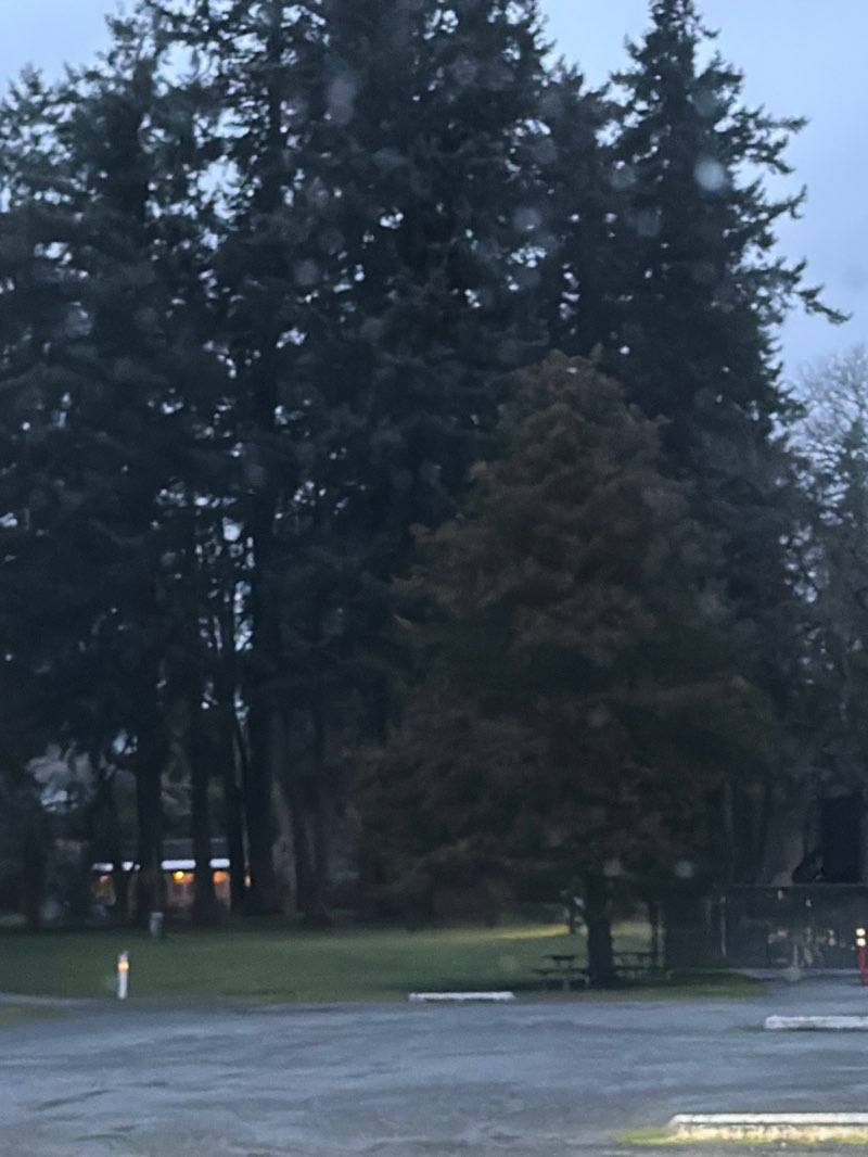 walking near me in Marymoor Park in spring