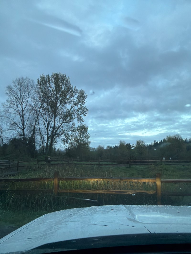 walking near me in Marymoor Park in spring