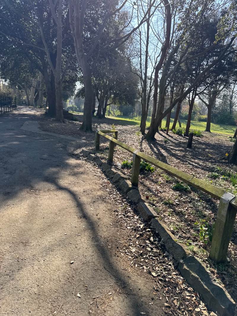 walking near me in Pierremont Park in spring