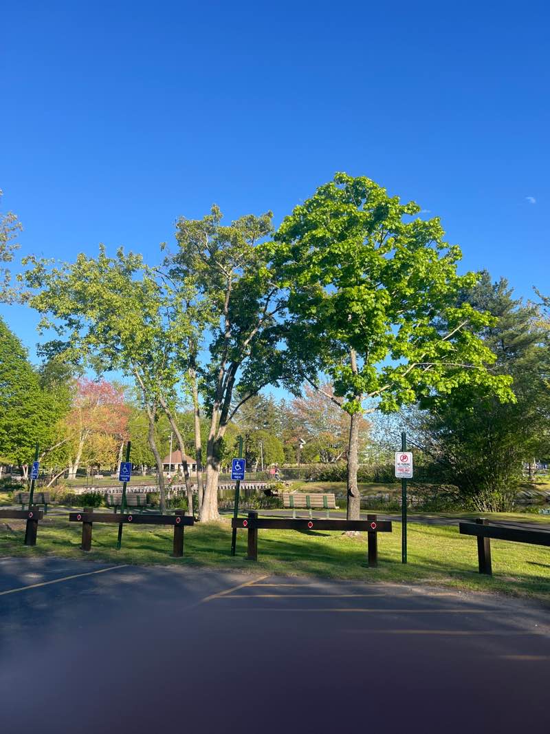 walking near me in Johnston Memorial Park in spring