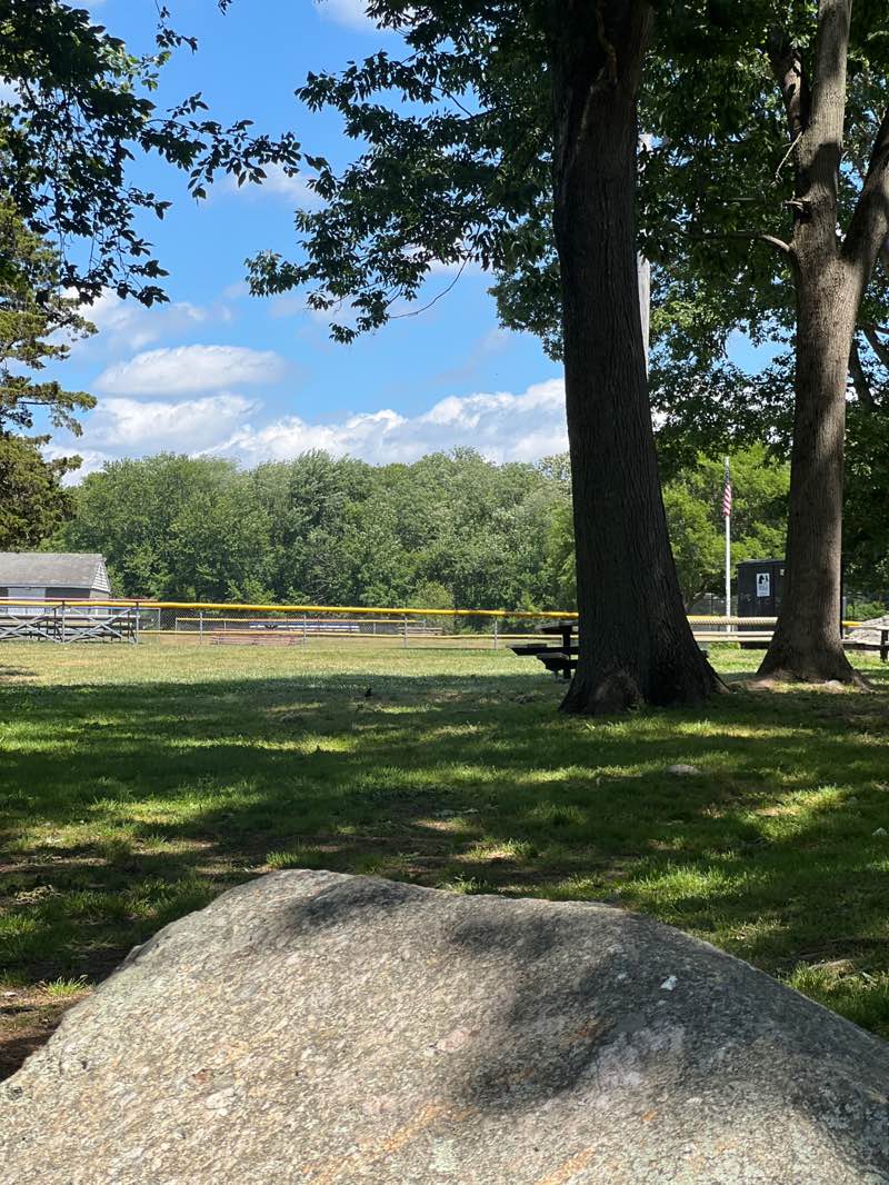 walking near me in Warren Recreation Park in summer