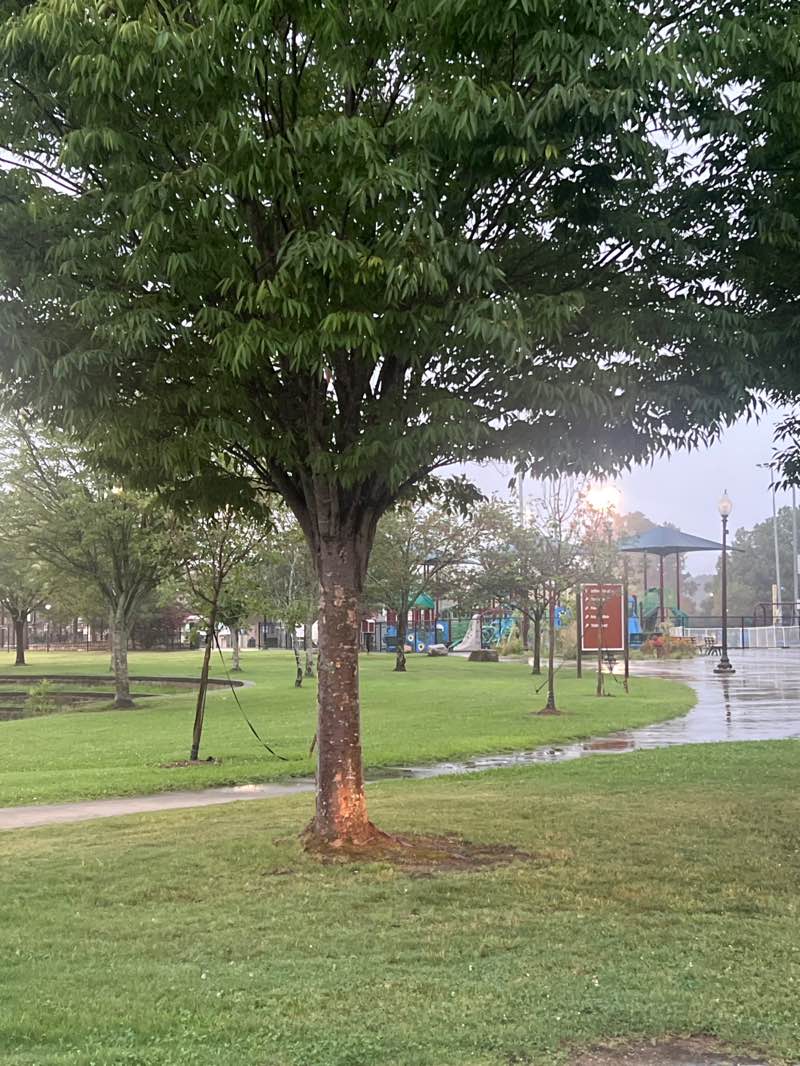 walking near me in Warner Park in summer