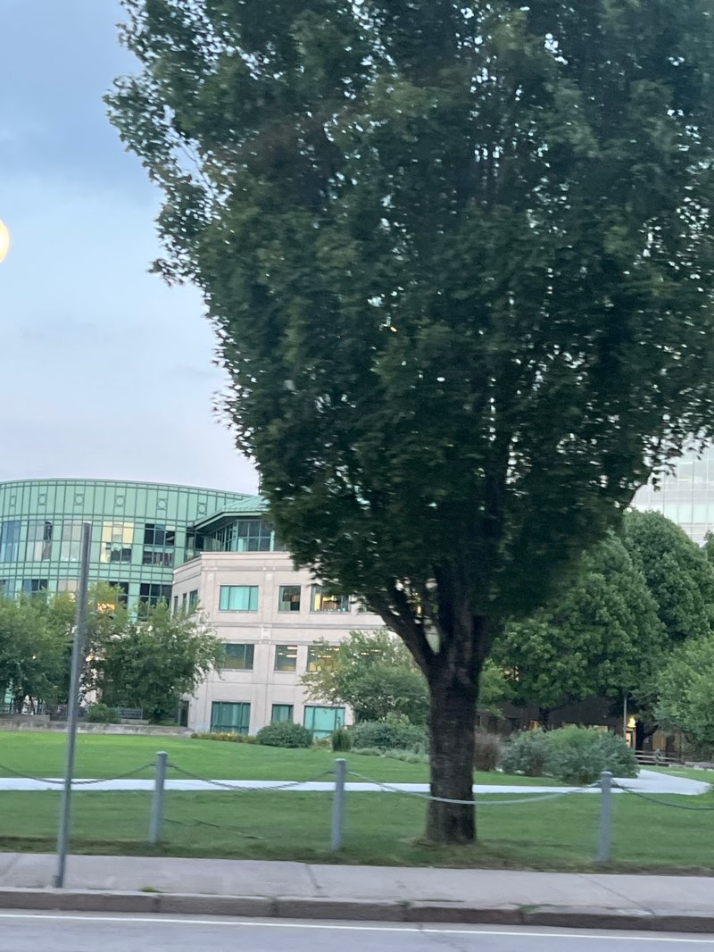 walking near me in State House Park in summer