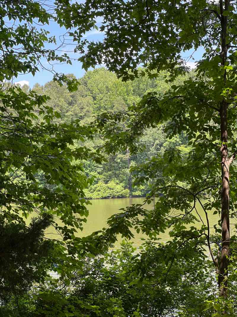 walking near me in Lake Lynn Park in winter